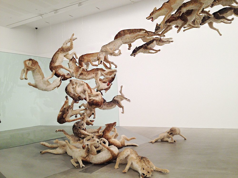 Цай Гоцян. «Вперед». 2013. Инсталляция. Courtesy of Brisbane Gallery of Modern Art