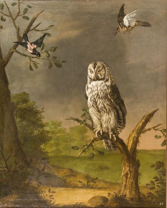 Иоганн Гроот. «Сова, сидящая на суку». 1750-е. Из коллекции ГМЗ «Царское Село»