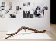 Красноярская премия сфокусировалась на кинетике и уличном искусстве