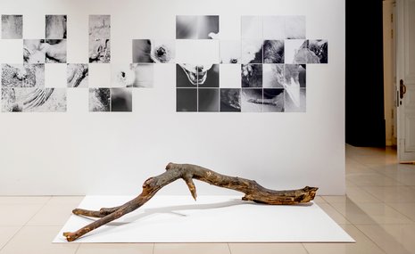 Красноярская премия сфокусировалась на кинетике и уличном искусстве