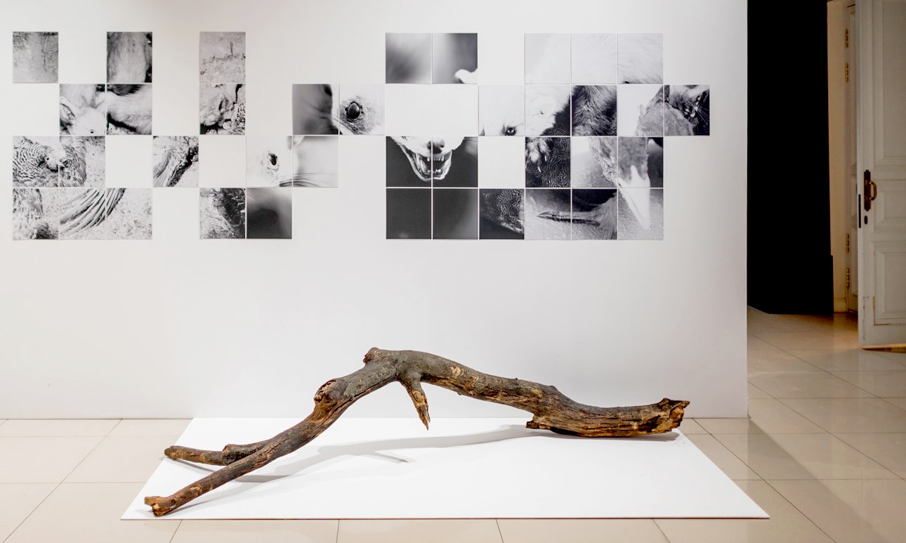 Третья ежегодная премия SCAN Awards, сфокусированная на современном искусстве Сибири, Урала и Дальнего Востока, объявила своих лауреатов. Фото: SCAN Awards/Артём Дейнега