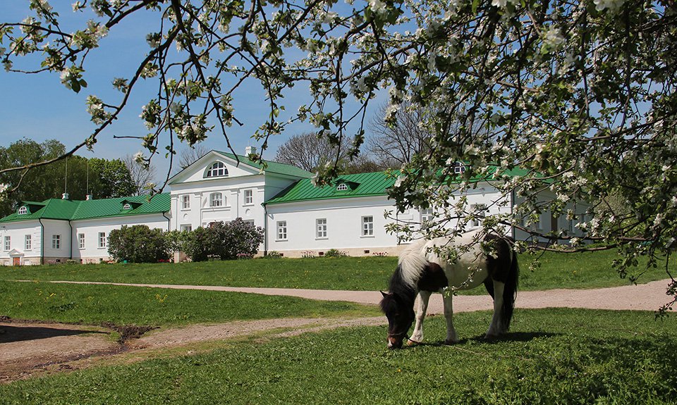 Дом Волконского в Ясной Поляне. Фото: Фестиваль «Толстой»