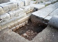 На Крите обнаружили древнее ритуальное захоронение мышей
