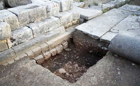 На Крите обнаружили древнее ритуальное захоронение мышей