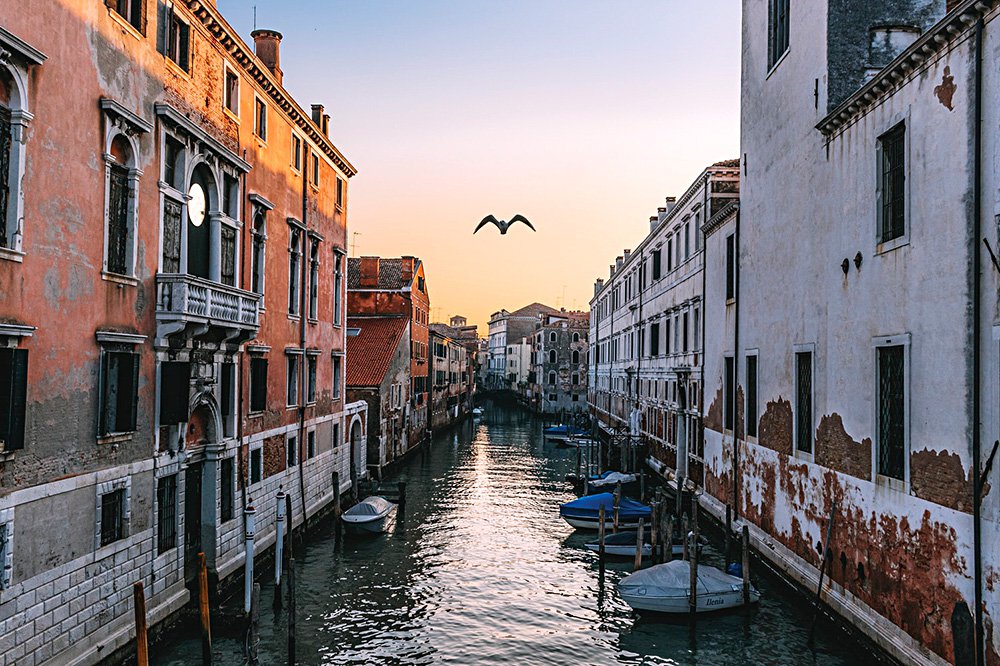 Венеция готовится к очередной биеннале. Фото: Federico Beccari/Unsplash