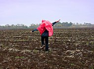 Независимые арт-хозяйства России нуждаются в поддержке
