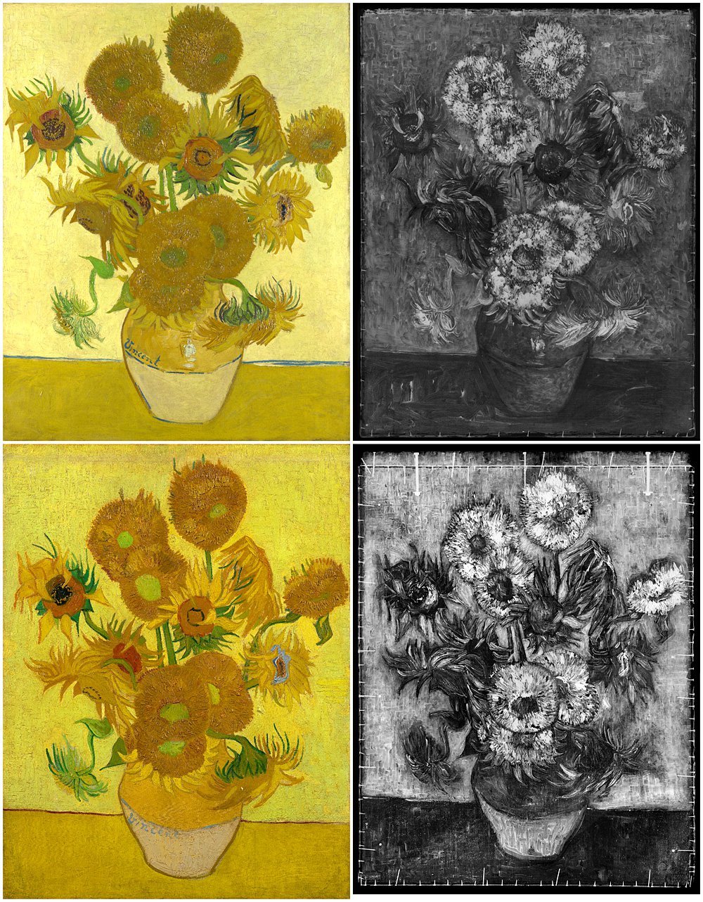 «Подсолнухи» Винсента ван Гога и рентгенограмма. Фото: National gallery, Londo