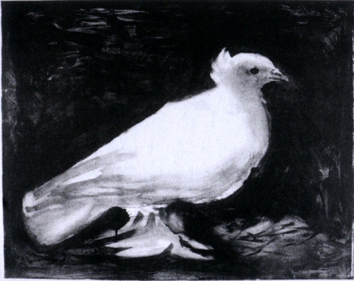 Пабло Пикассо. «Голубь». 9 января 1949