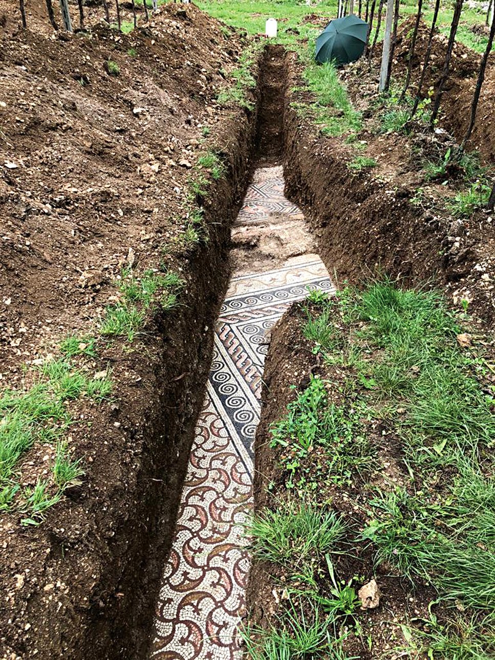 Мозаичный пол виллы, обнаруженный под виноградниками. Фото: Comune di Negrar di Valpolicella