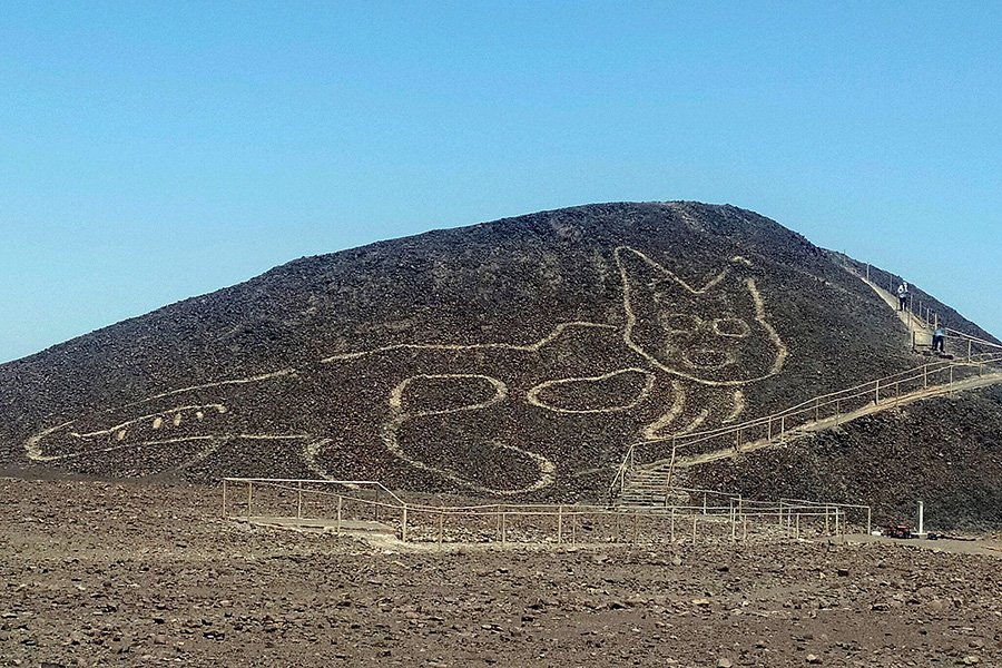 Найденный геоглиф с гигантским изображением кошки. Photo: Johny Islas/Peru's Ministry of Culture-Nasca-Palpa