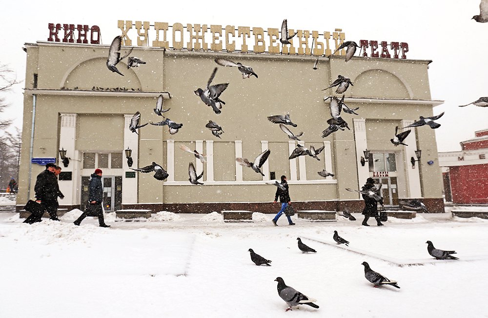 Кинотеатр "Художественный". ТАСС
