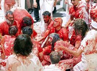 В Австралии могут запретить кровавую акцию Германа Нитча