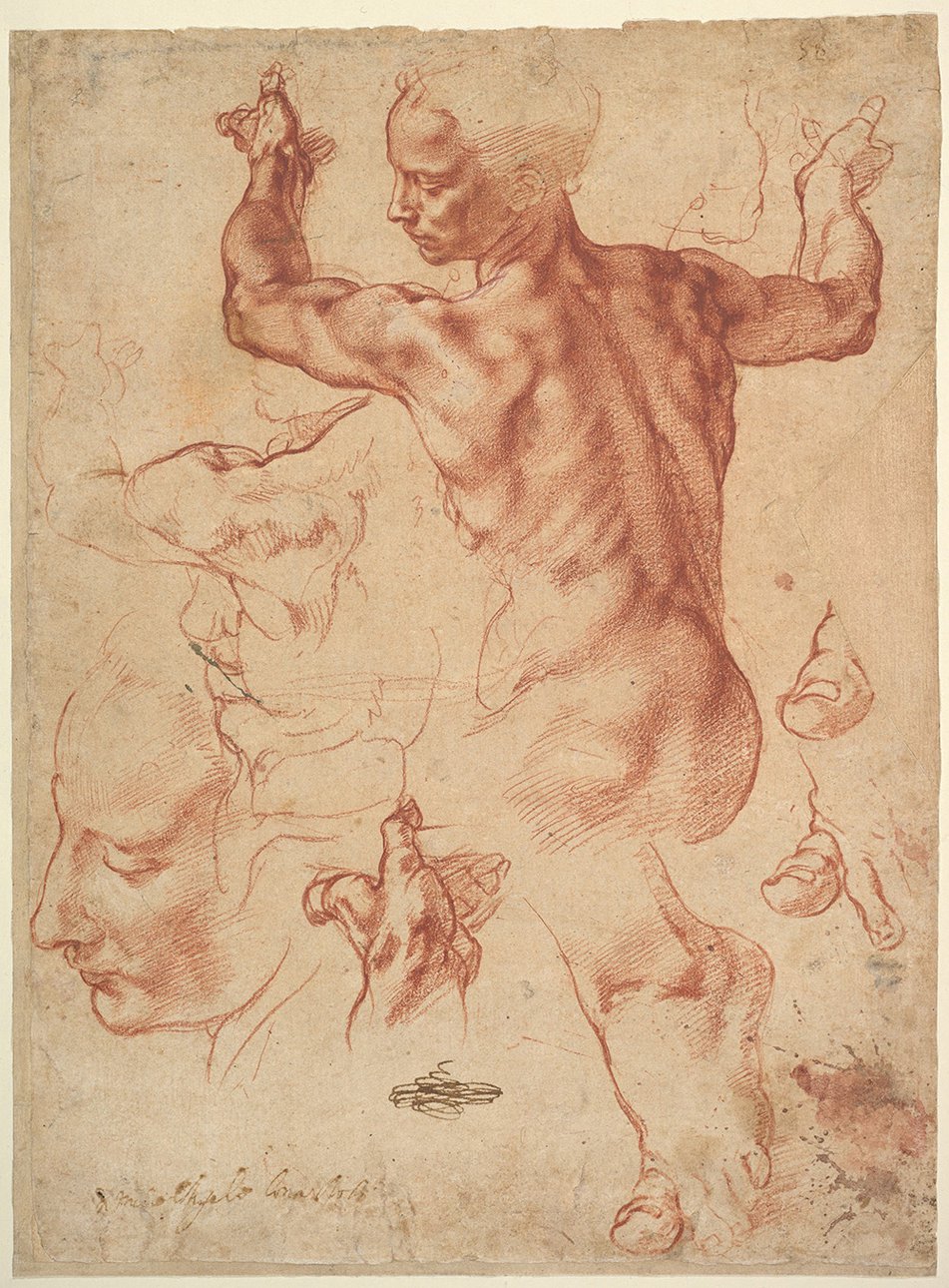 Микеланджело. Штудия Ливийской сивиллы. Около 1510–1511. Фото: The Metropolitan Museum of Art