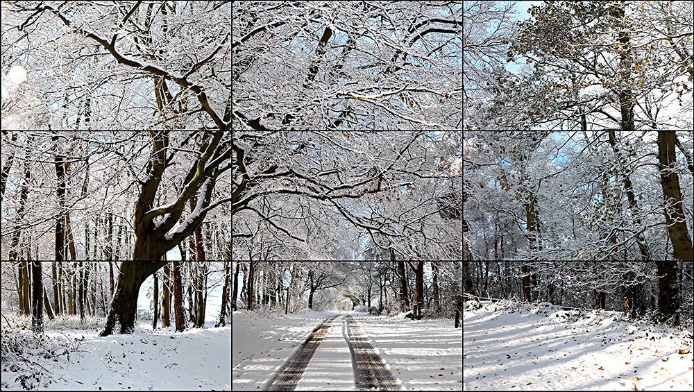 Дэвид Хокни. «Уолдгейтский лес, зима, 2010». 2010. Фото: Новая Голландия