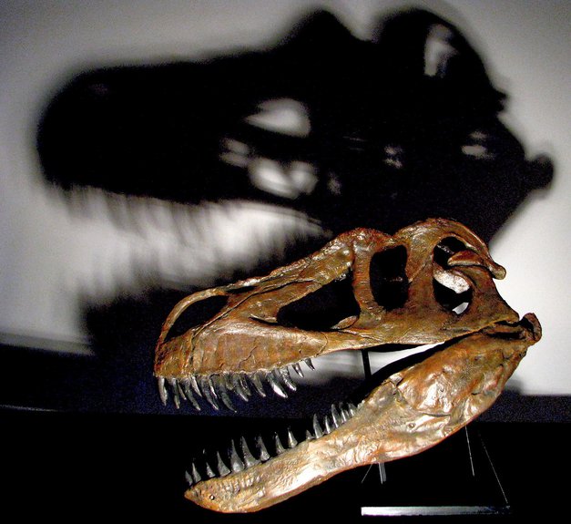 Torvosaurus gurneyi. (с) nationalgeographic.com