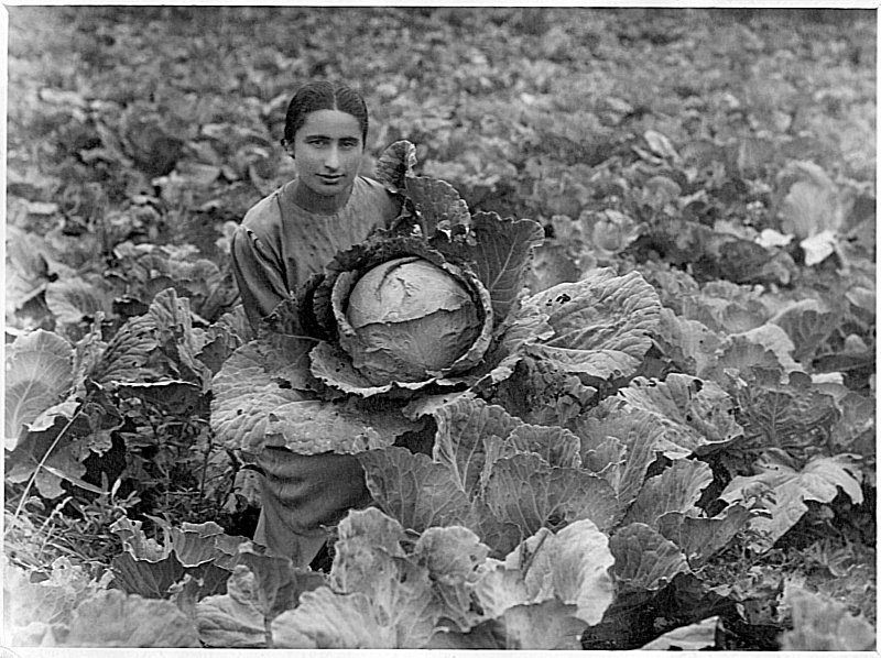 На фотографии запечатлена Мария Есаян (1916-1998), агроном из Дилижана, Армения. Фотография предоставлена Централизованной системой библиотек Дилижана