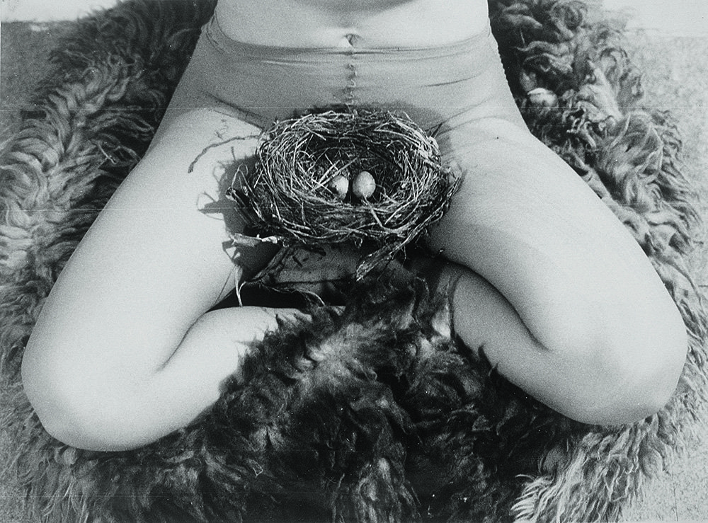 Биргит Юргенсен. Гнездо. 1979. Courtesy of Galerie Hubert Winter, Wien / Bildrecht Wien 2016 SAMMLUNG VERBUND, Wie