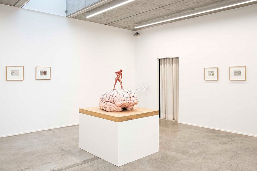 Мозг. 2009. Инсталляция/ jordan bosher; the deweer collection/jan fabre; Angelos bvba collection/jan fabre; afp/eastnewsh