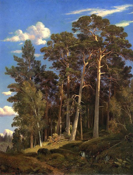 Иван Шишкин. «Сосновый лес». 1866. MacDougall's, £457 тыс.