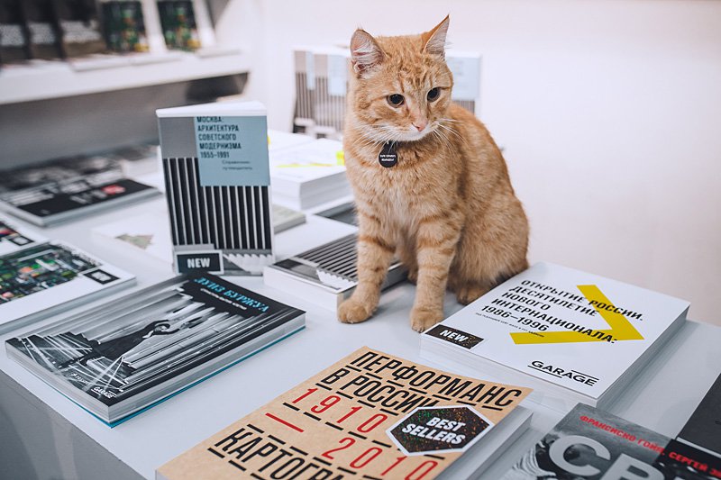 В «Гараже» «Ночь в музее» совпадет с книжной ярмаркой