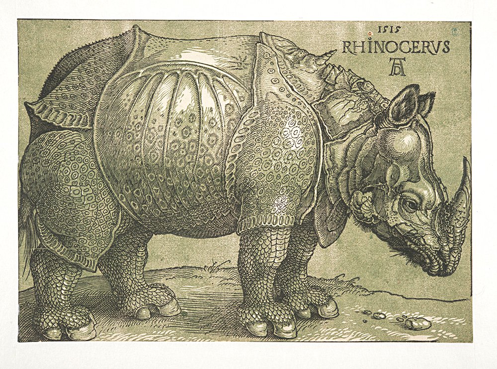 Альбрехт Дюрер. «Носорог». 1515. Фото: KBR – print room, s.i 13946