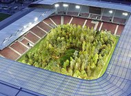 Целый стадион деревьев покажут в Австрии