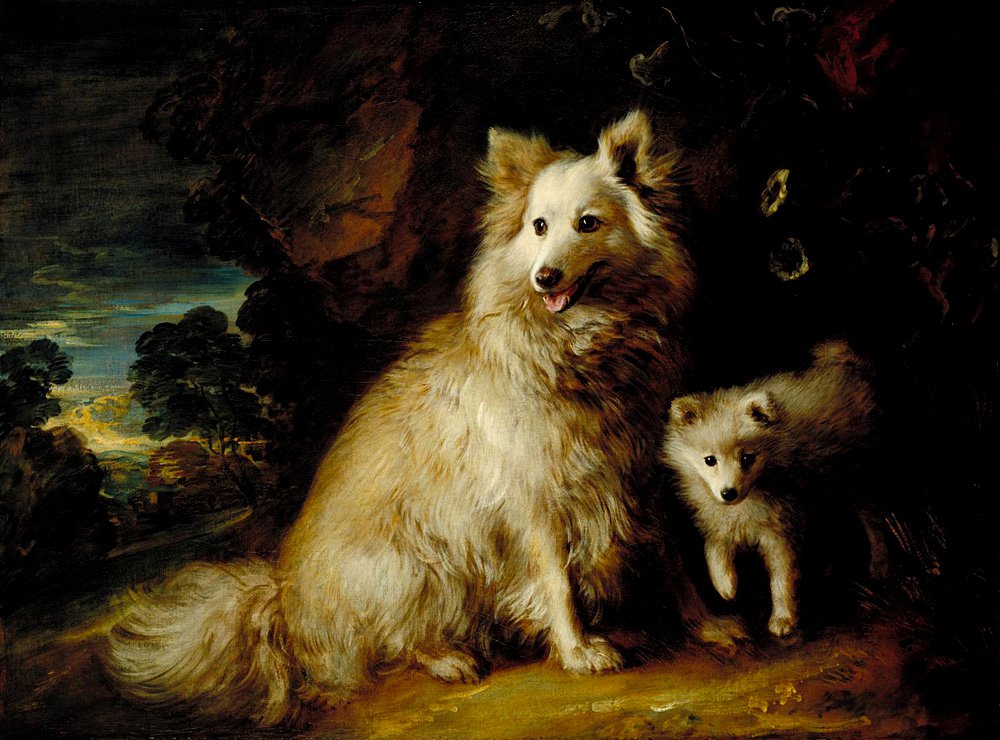 Томас Гейнсборо. «Cамка померанского шпица и щенок». 1777. Фото: Tate, Londo