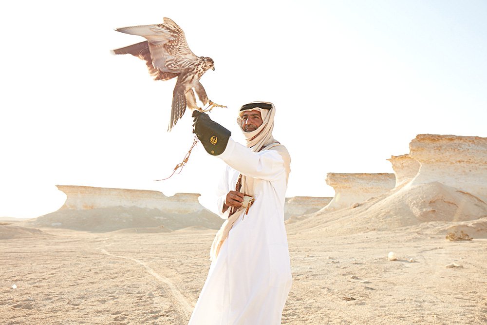 Соколы — важнейшая часть культуры Катара. Фото: Национальный совет по туризму Катара