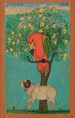 Попугай на манговом дереве с привязанным внизу бараном. Голконда. 1630–1670. Бумага, тушь, акварель, золото