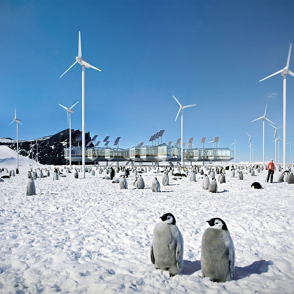 Сourtesy of the Antarctic Bienalle