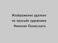 Николай Полисский о «Пламенеющей готике»: «Это созданный на пустом месте конфликт»