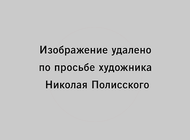 Ольга Кабанова: Казус Полисского и синдром тотальной бдительности