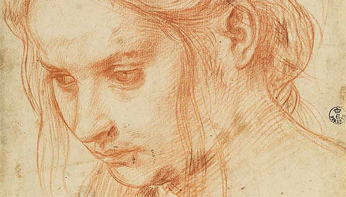 Andrea del Sarto: the Renaissance Workshop in Action / Julian Brooks, with Denise Allen and Xavier F. Salomon. Getty Publications. 264 с. $59 (твердая обложка). На английском языке