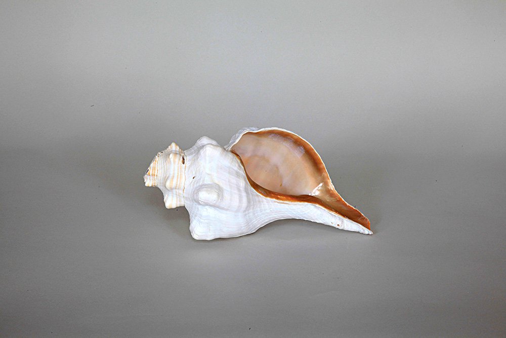 Сьюзен Филипс. «Роза ветров». 2019. Фото:Courtesy the artist, Tanya Bonakdar Gallery, New York, and Galerie Isabella Bortolozzi, Berlin / Eoghan McTigue