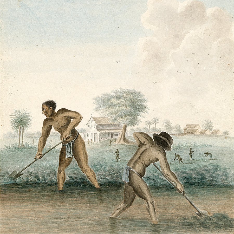 Фрагмент картины неизвестного художника «Рабы роют траншеи». Около 1850. Фото: Rijksmuseum