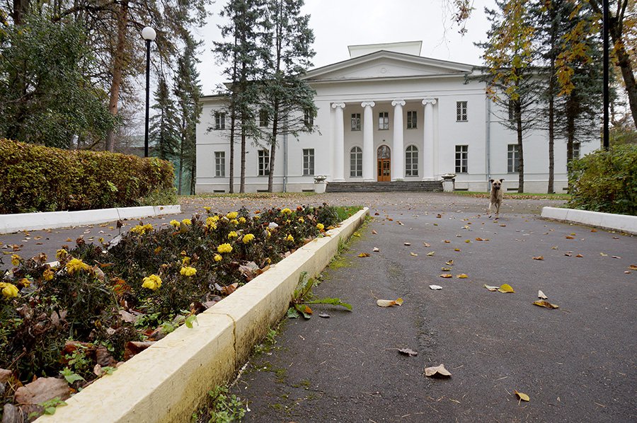 Главный дом усадьбы Ершово (Троицкое), сейчас гостиница. Фото: Александр Артеменков/ТАСС