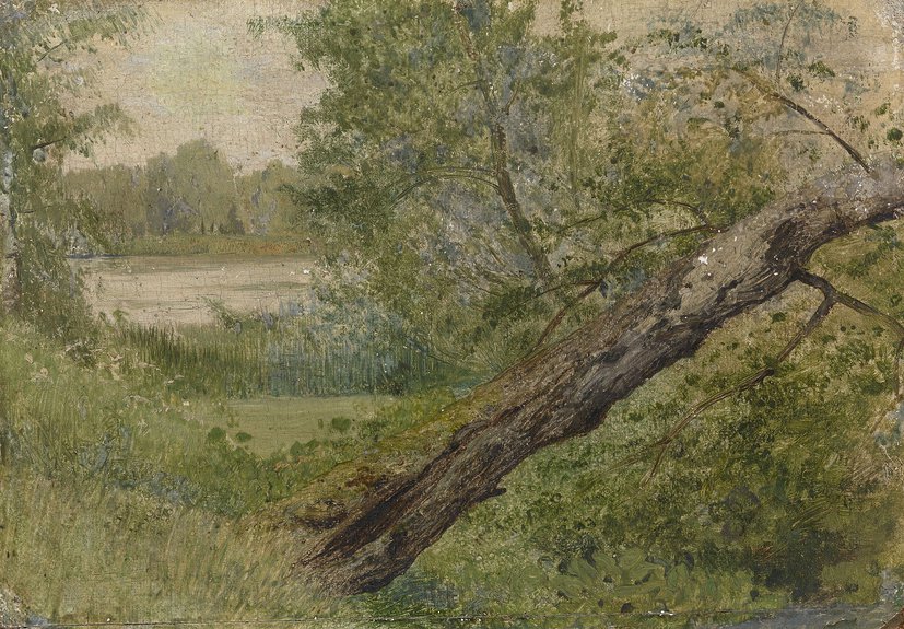 Исаак Левитан. "Дерево у озера". 1890-е. MacDougall's, эстимейт £35-50 тыс.