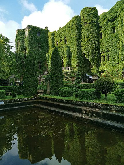 Сад архитектора и дизайнера Игоря Пищукевича во Франции. Фото: архив архитектора