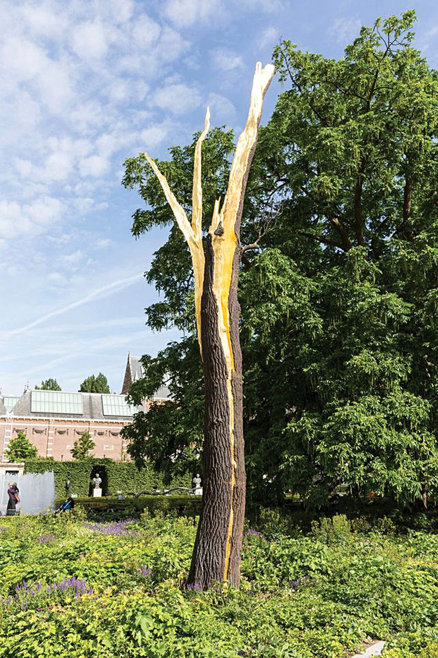 Джузеппе Пеноне. «Пораженное дерево». 2012. Фото: Archivio Penone