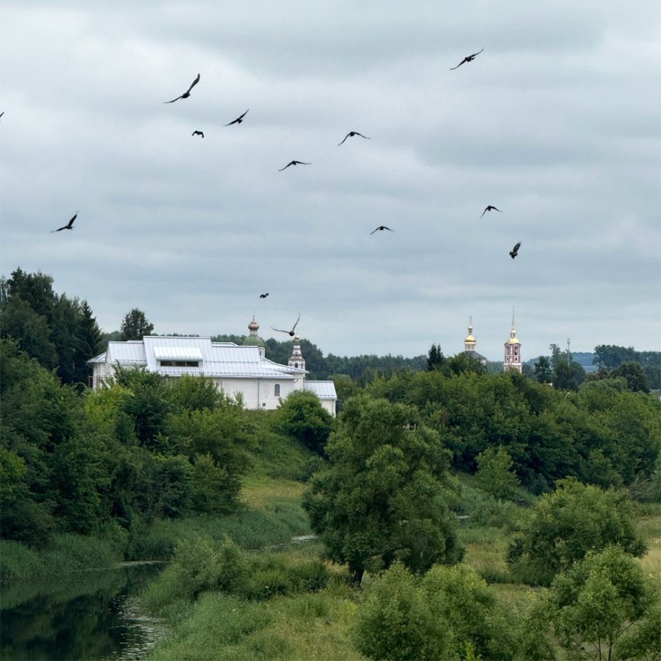 МИРА центр, Суздаль.   Фото: МИРА центр