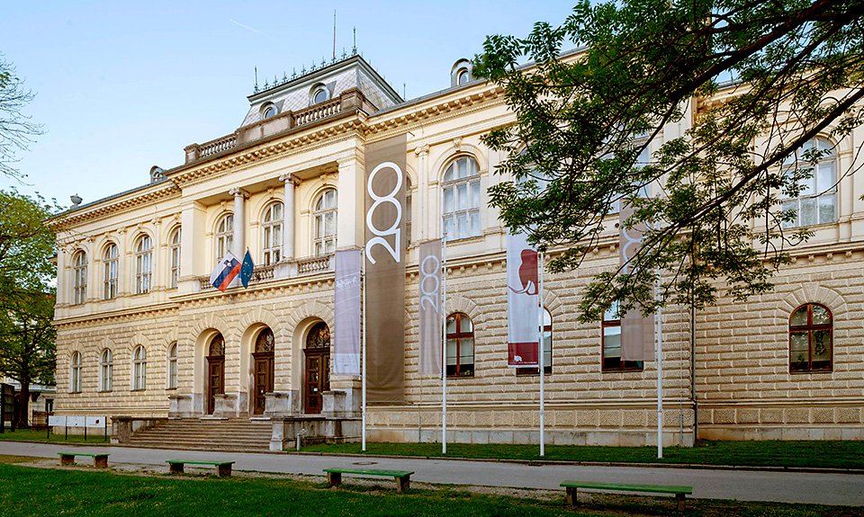 Национальный музей Словении. Фото: Narodna galerija, Ljubljana, Slovenija
