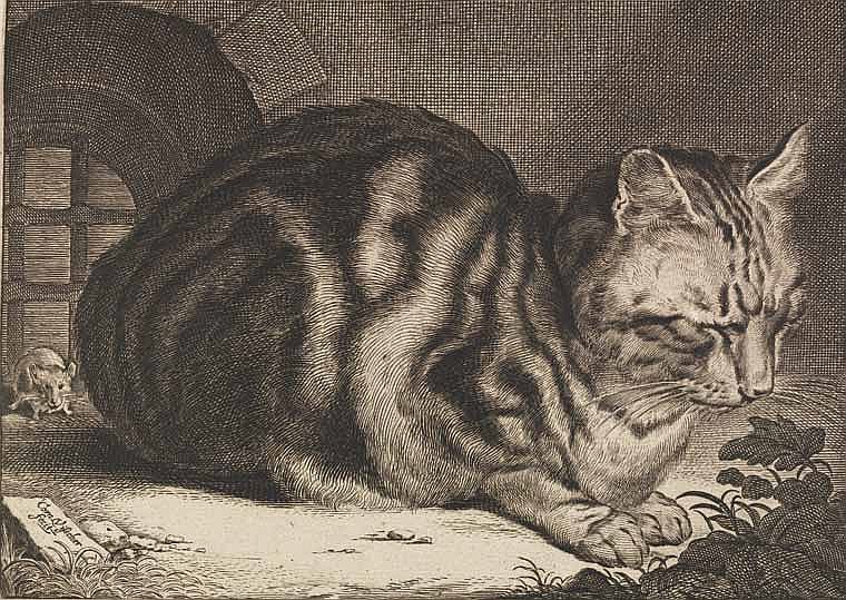 Как благодаря гравюре Рембрандт стал звездой международного масштаба ...