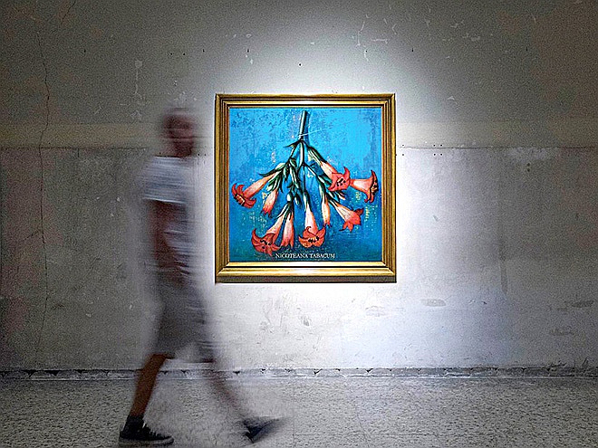 курсы рисования. где найти искусство. Where's waldo. цветные художественные материалы. где найти искусство.